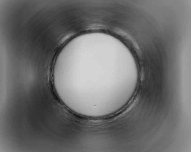 X0000086951313200705141814