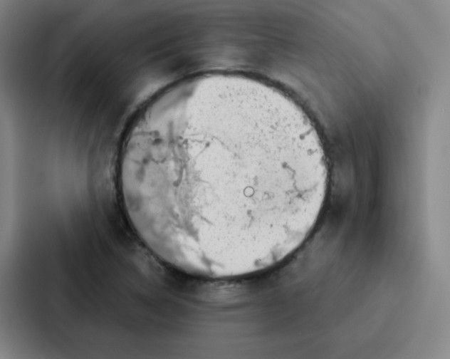 X0000086951314200705141814