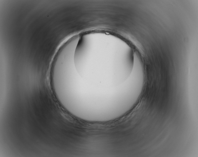 X0000086951316200705141814