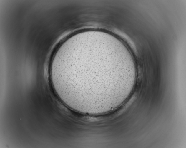 X0000086951318200705141814