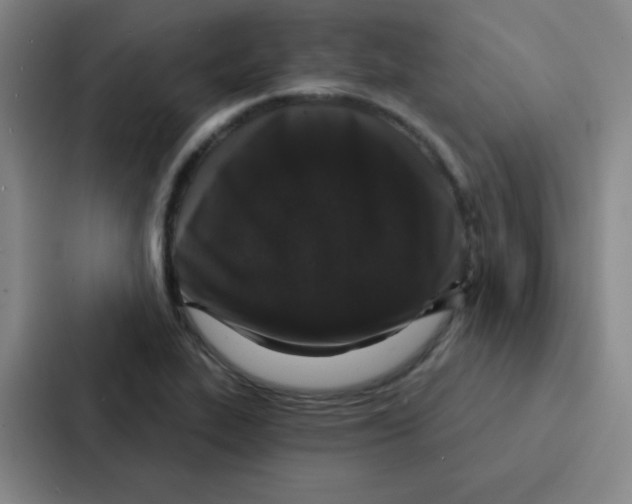 X0000086951319200705141814