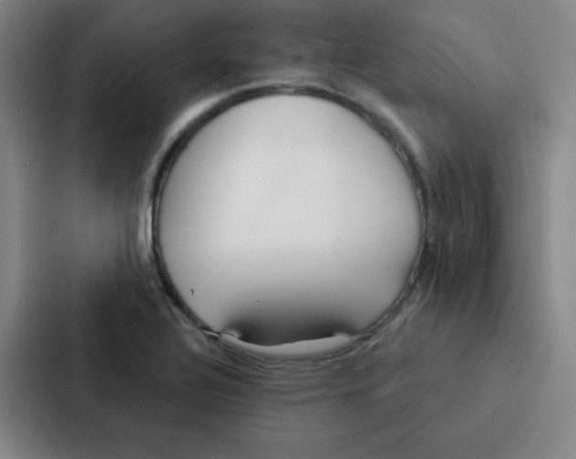 X0000086951320200705141814