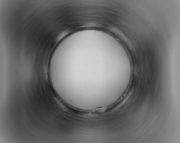 X0000086951321200705141814