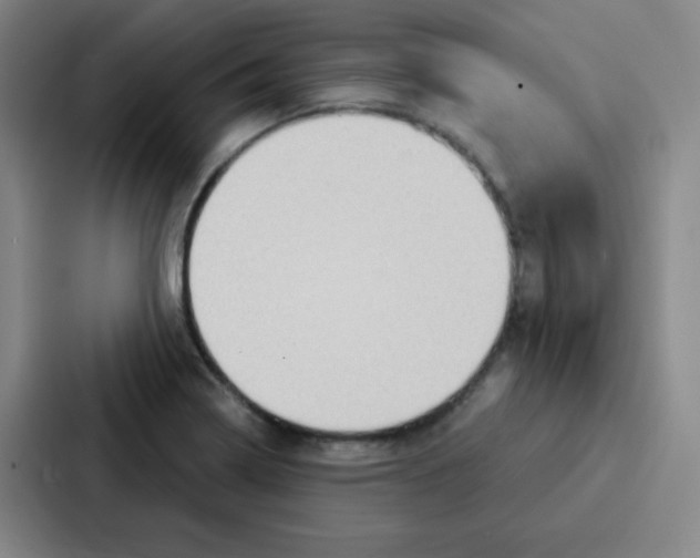 X0000086951322200705141814