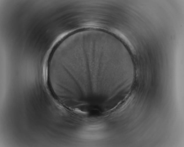 X0000086951323200705141814