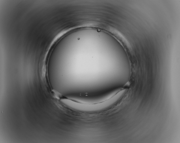 X0000086951324200705141814