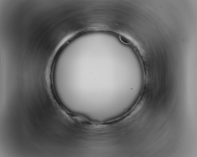 X0000086951325200705141814