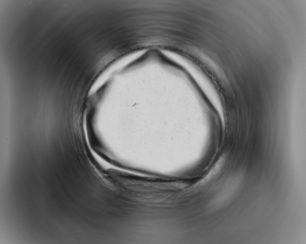 X0000086951329200705141814