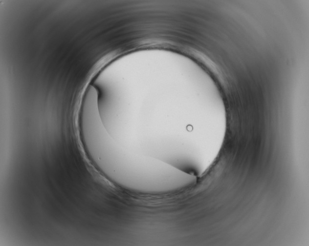 X0000086951330200705141814