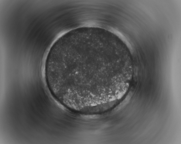 X0000086951331200705141814