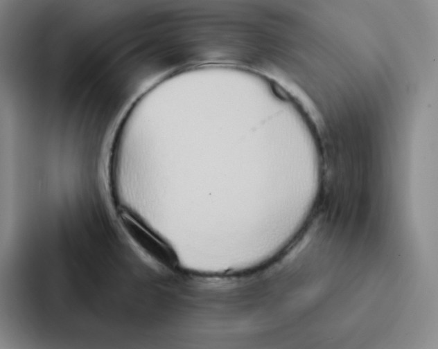 X0000086951333200705141814