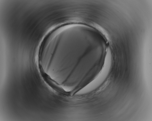 X0000086951334200705141814