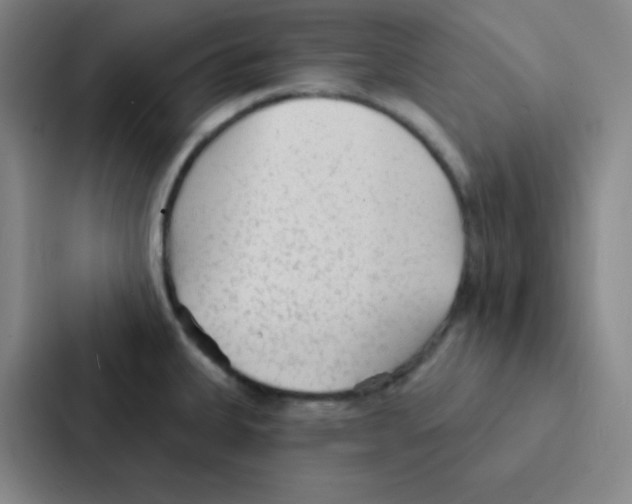 X0000086951335200705141814