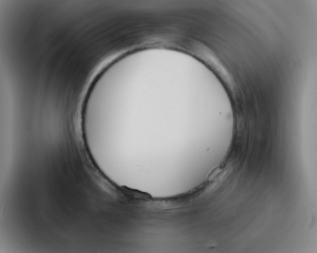 X0000086951336200705141814