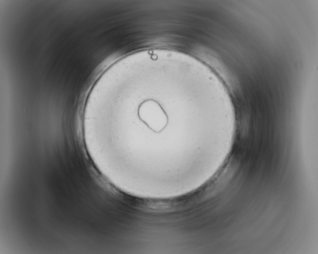 X0000086951338200705141814