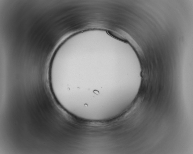 X0000086951339200705141814