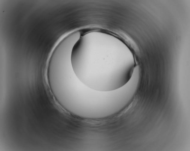 X0000086951340200705141814