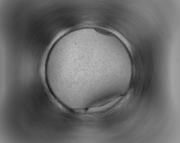 X0000086951341200705141814