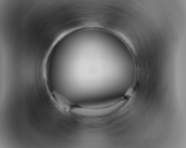 X0000086951342200705141814