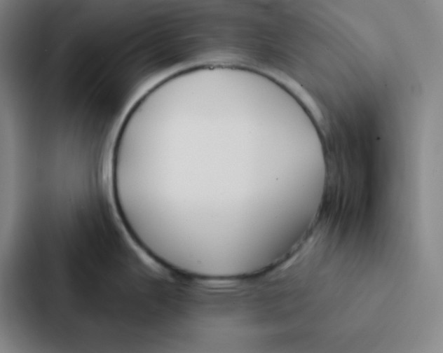 X0000086951343200705141814