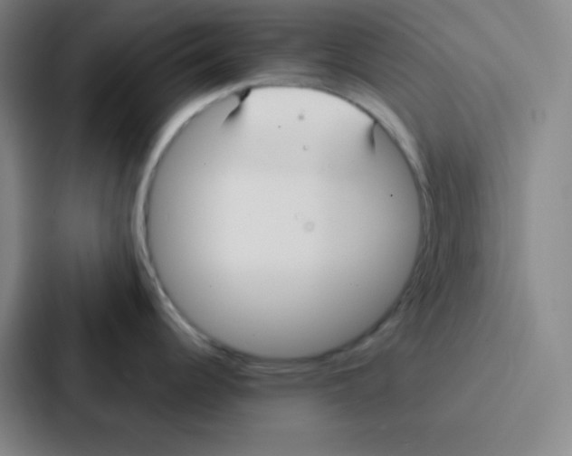 X0000086951344200705141814