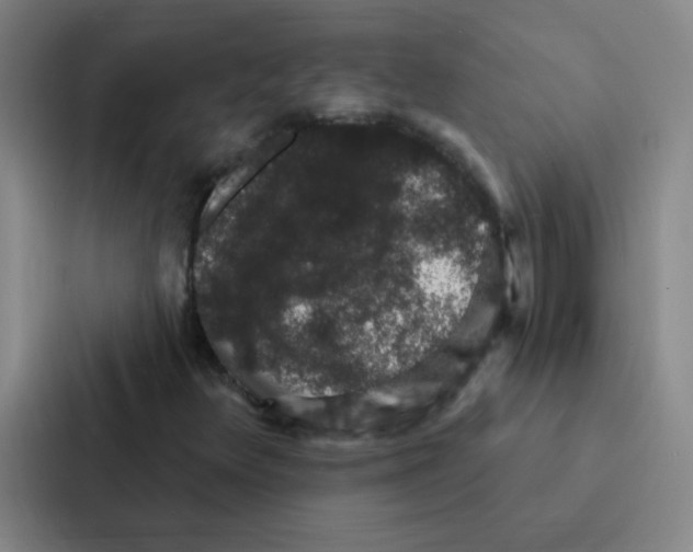 X0000086951348200705141814