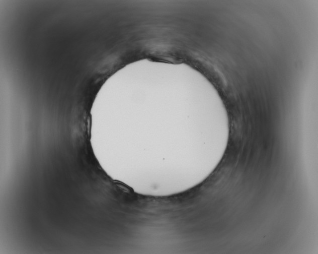 X0000086951349200705141814