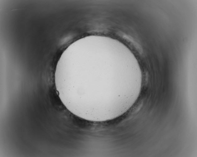 X0000086951350200705141814