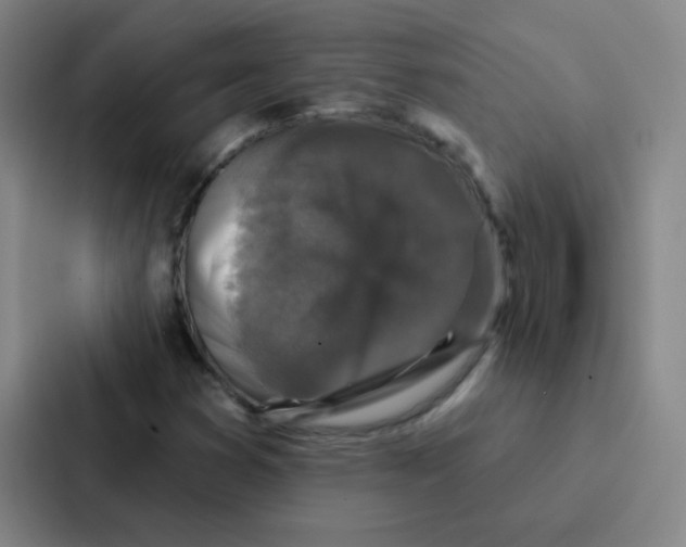 X0000086951353200705141814