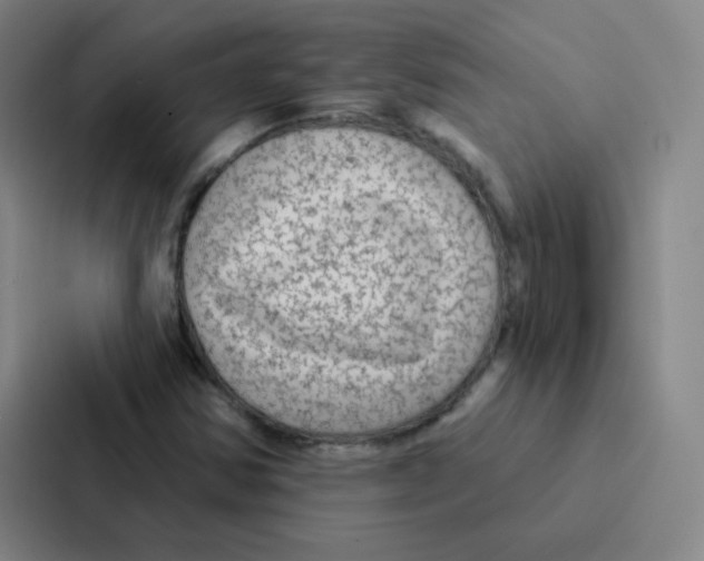 X0000086951354200705141814