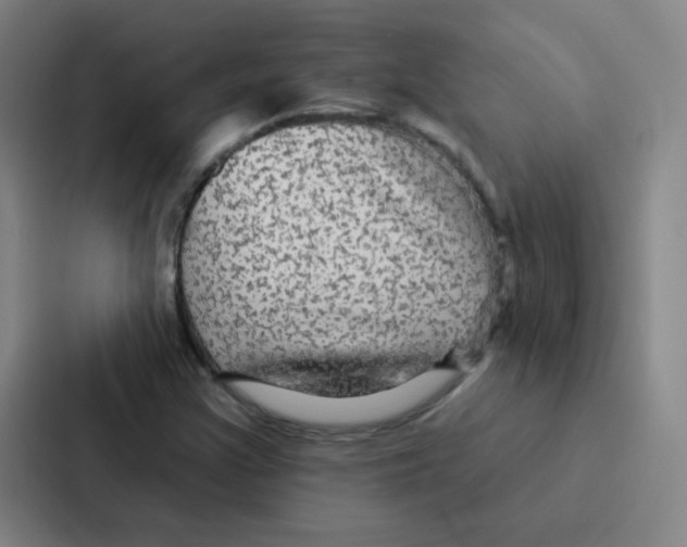 X0000086951355200705141814