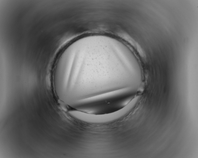 X0000086951356200705141814