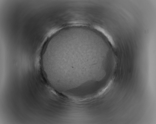 X0000086951357200705141814