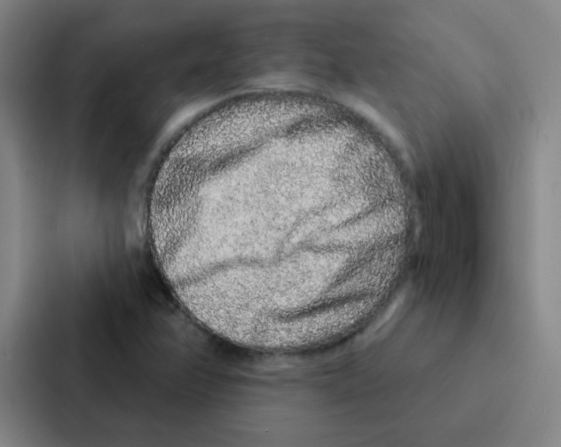 X0000086951358200705141814