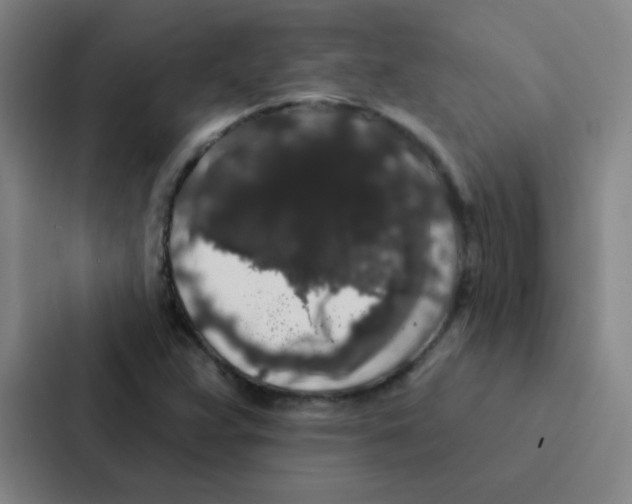 X0000086951359200705141814