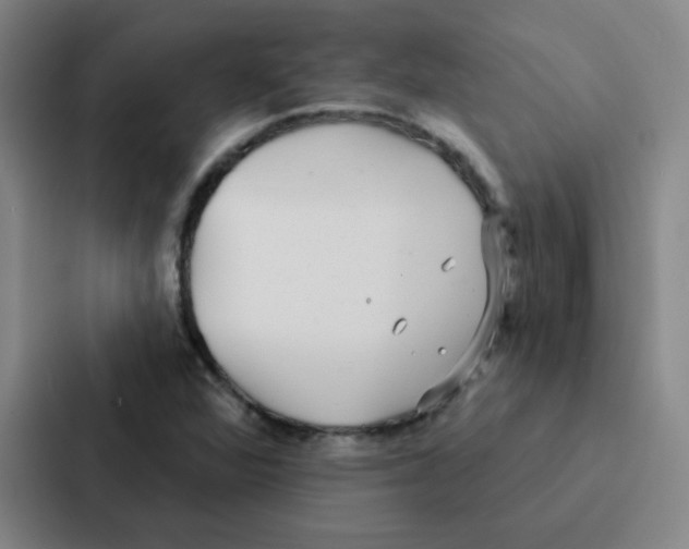 X0000086951360200705141814