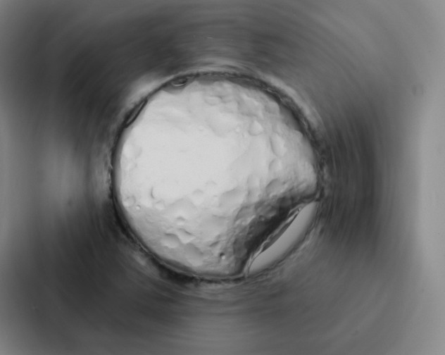 X0000086951363200705141814