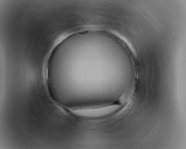 X0000086951365200705141814