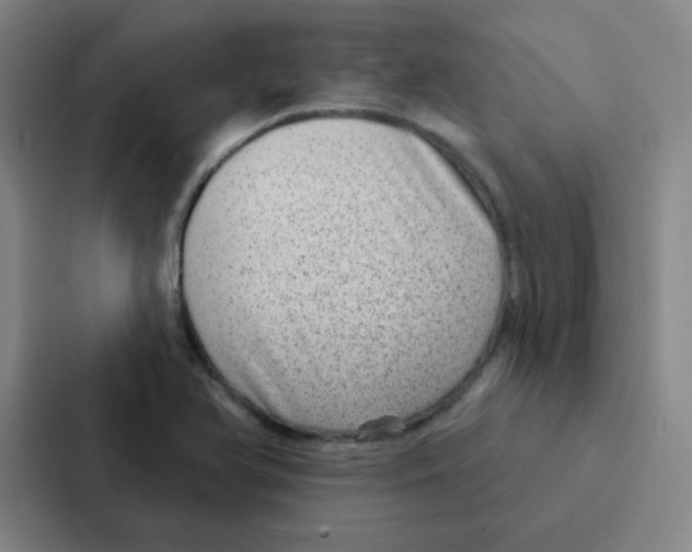 X0000086951366200705141814