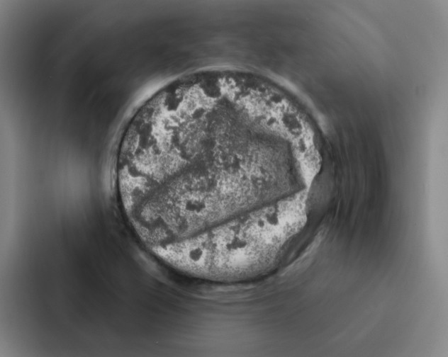 X0000086951367200705141814