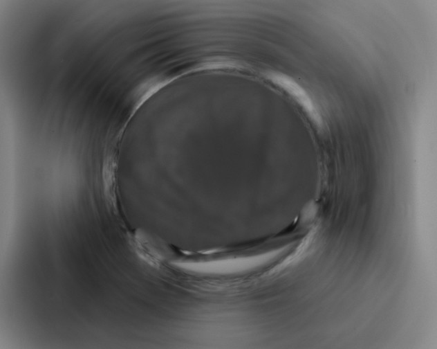 X0000086951369200705141814