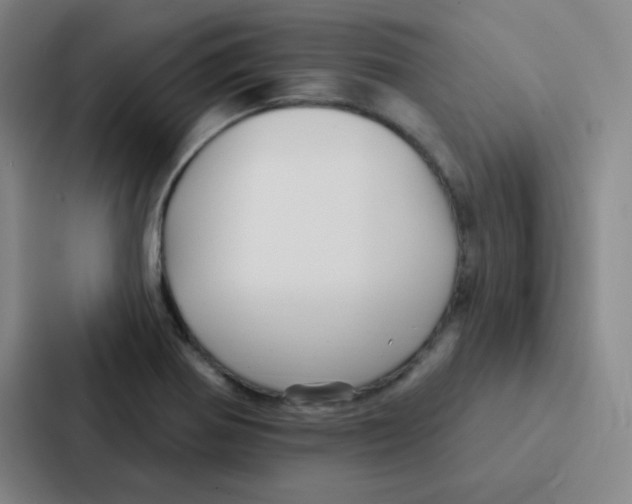 X0000086951370200705141813