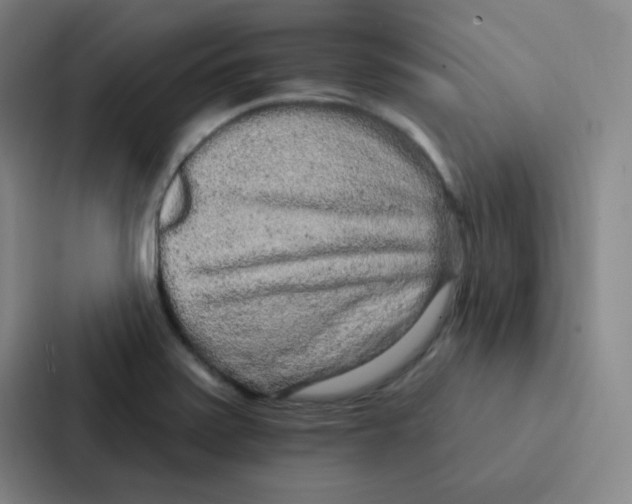 X0000086951371200705141813