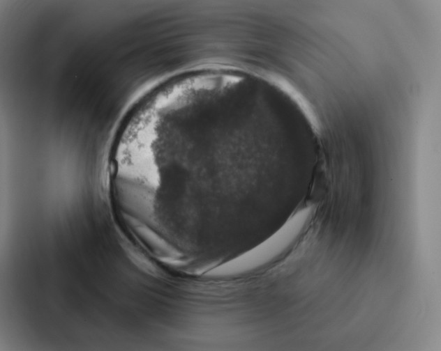 X0000086951372200705141813