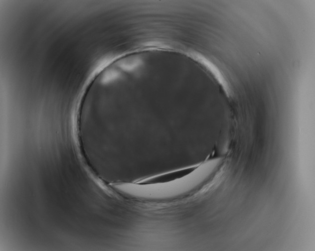 X0000086951373200705141813