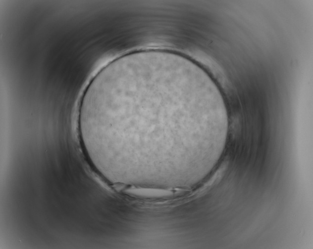 X0000086951374200705141813