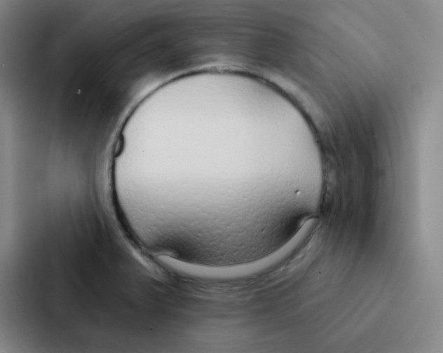 X0000086951375200705141813