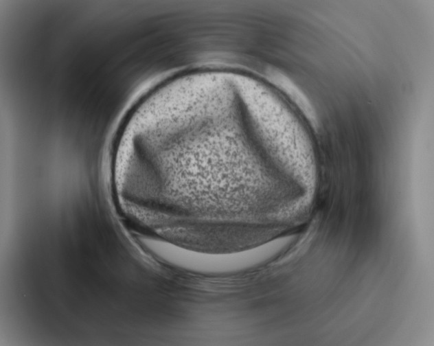 X0000086951376200705141813