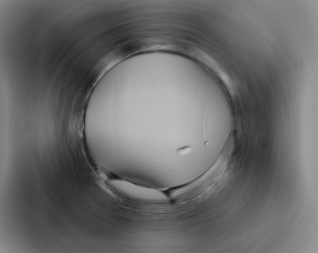 X0000086951377200705141813