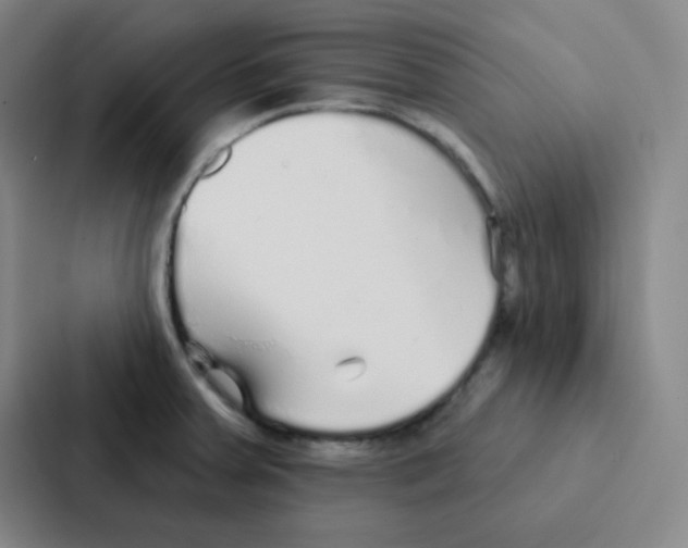 X0000086951379200705141813